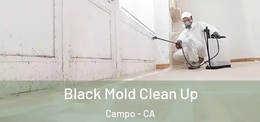  Black Mold Clean Up Campo - CA