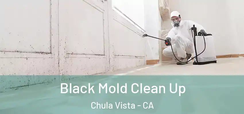  Black Mold Clean Up Chula Vista - CA
