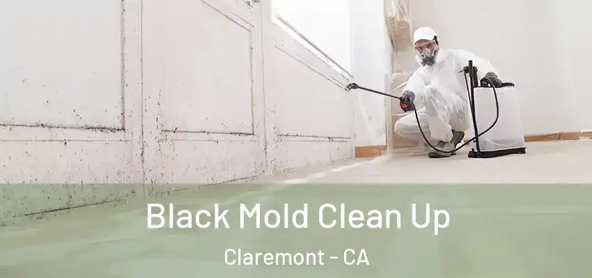 Black Mold Clean Up Claremont - CA
