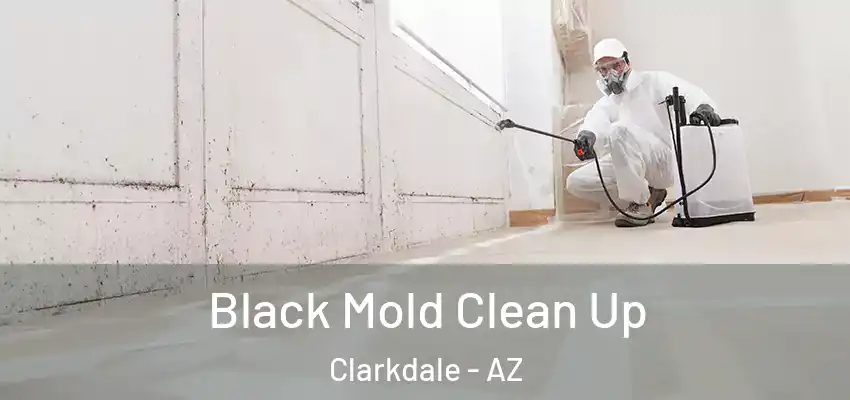 Black Mold Clean Up Clarkdale - AZ