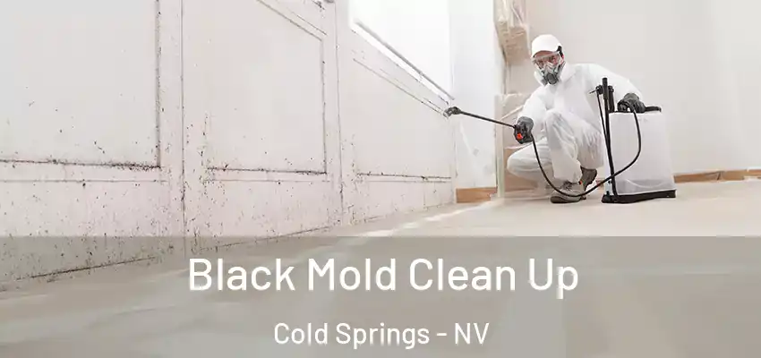  Black Mold Clean Up Cold Springs - NV