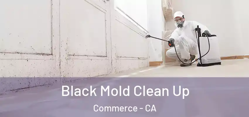  Black Mold Clean Up Commerce - CA