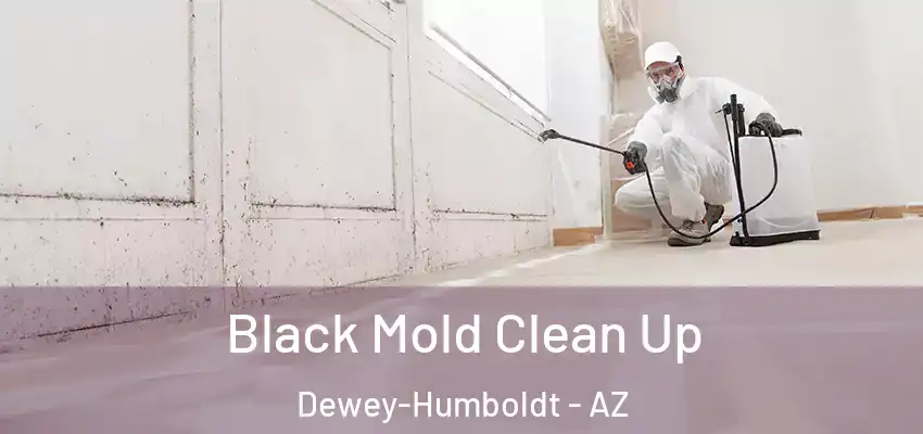  Black Mold Clean Up Dewey-Humboldt - AZ