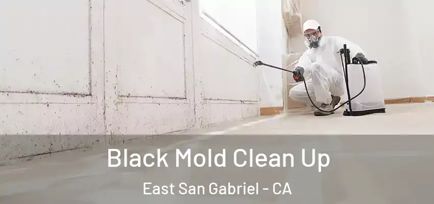  Black Mold Clean Up East San Gabriel - CA