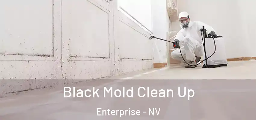 Black Mold Clean Up Enterprise - NV