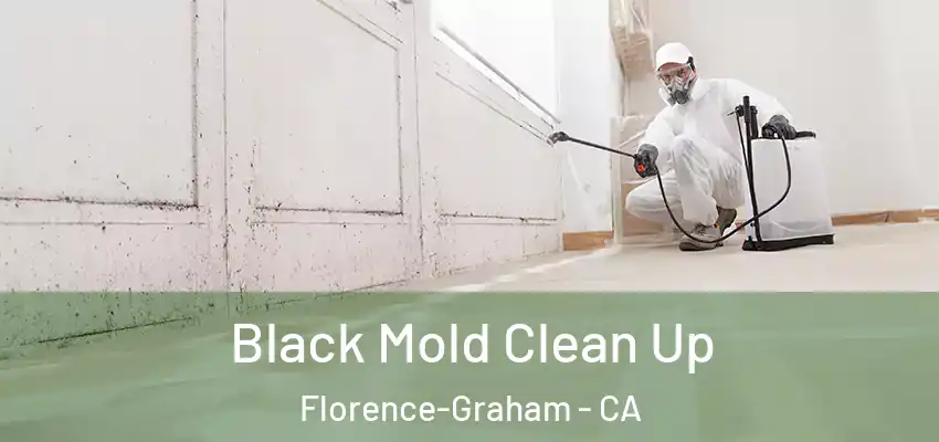  Black Mold Clean Up Florence-Graham - CA