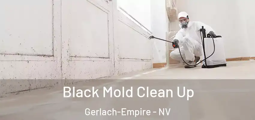  Black Mold Clean Up Gerlach-Empire - NV