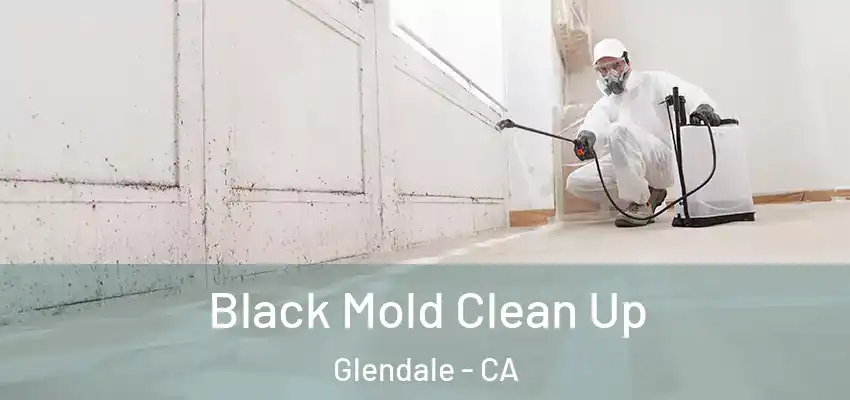  Black Mold Clean Up Glendale - CA
