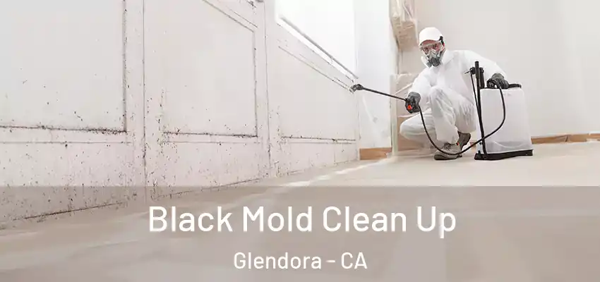  Black Mold Clean Up Glendora - CA