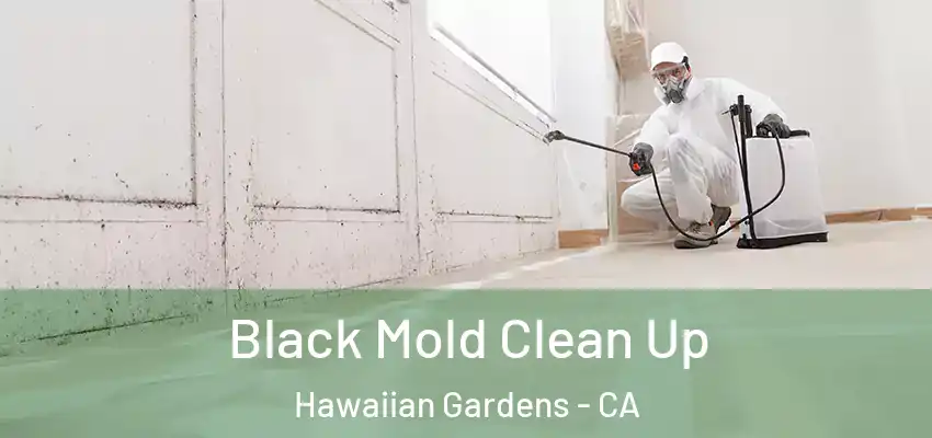  Black Mold Clean Up Hawaiian Gardens - CA