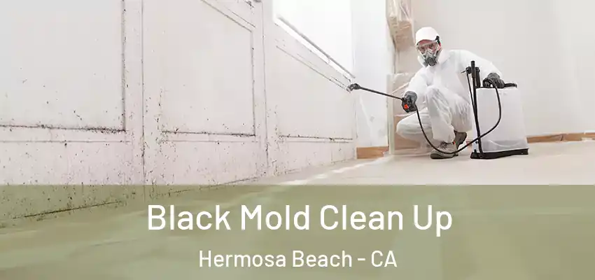  Black Mold Clean Up Hermosa Beach - CA