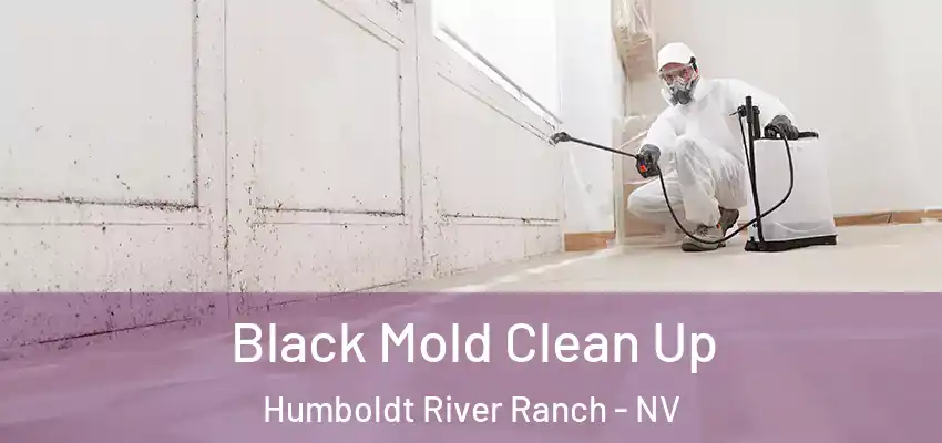  Black Mold Clean Up Humboldt River Ranch - NV