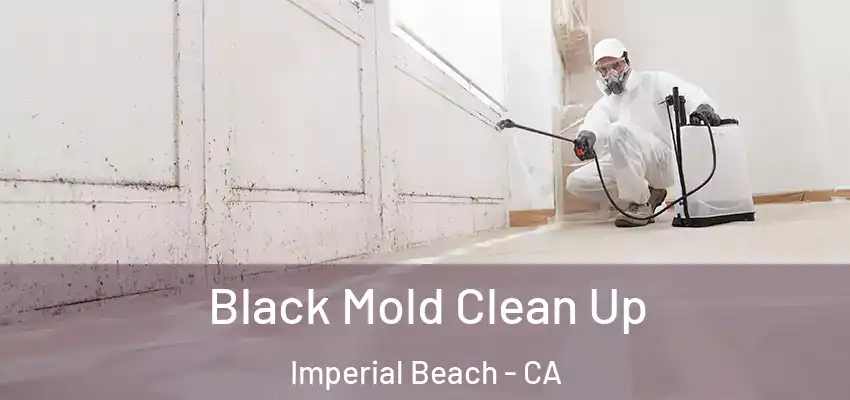  Black Mold Clean Up Imperial Beach - CA