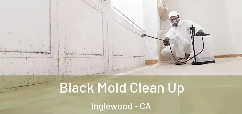  Black Mold Clean Up Inglewood - CA