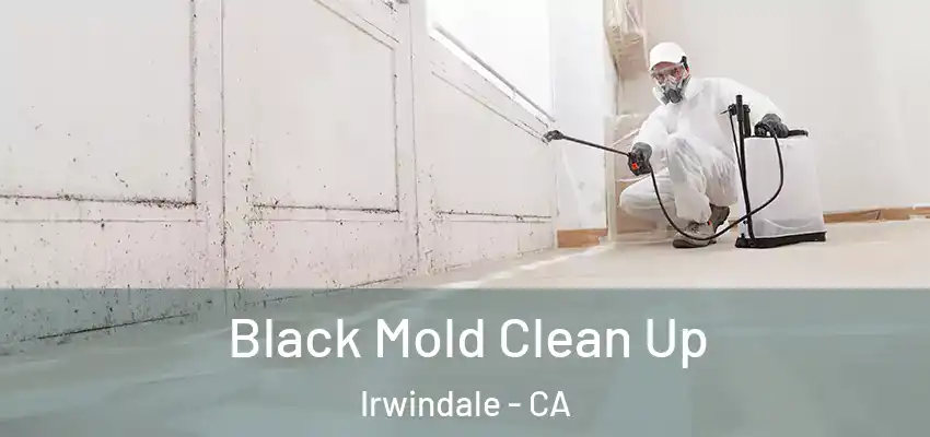  Black Mold Clean Up Irwindale - CA