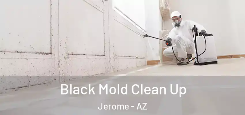  Black Mold Clean Up Jerome - AZ
