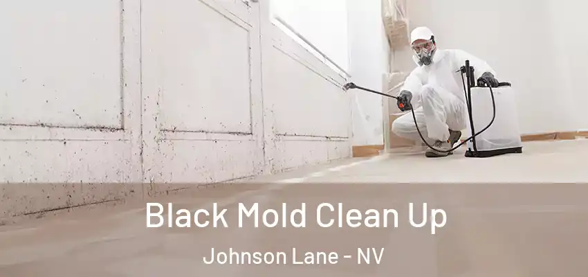  Black Mold Clean Up Johnson Lane - NV