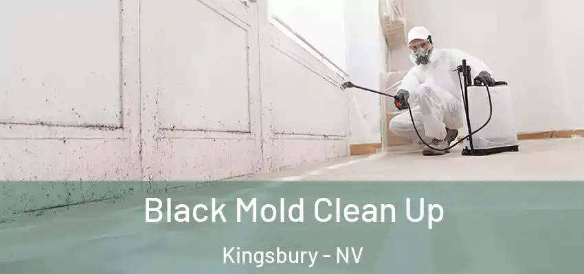  Black Mold Clean Up Kingsbury - NV