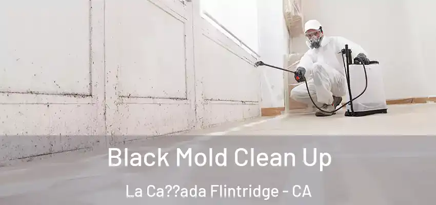  Black Mold Clean Up La Ca??ada Flintridge - CA