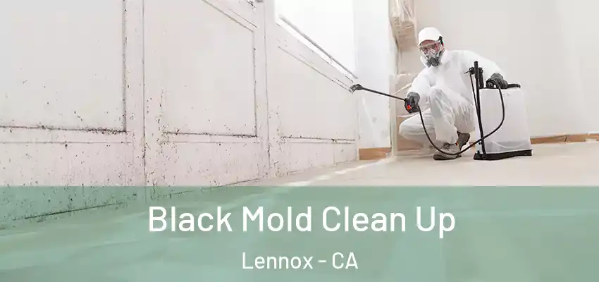  Black Mold Clean Up Lennox - CA