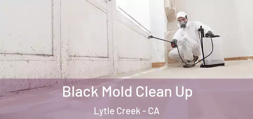 Black Mold Clean Up Lytle Creek - CA