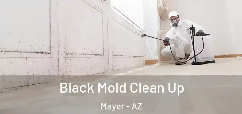  Black Mold Clean Up Mayer - AZ