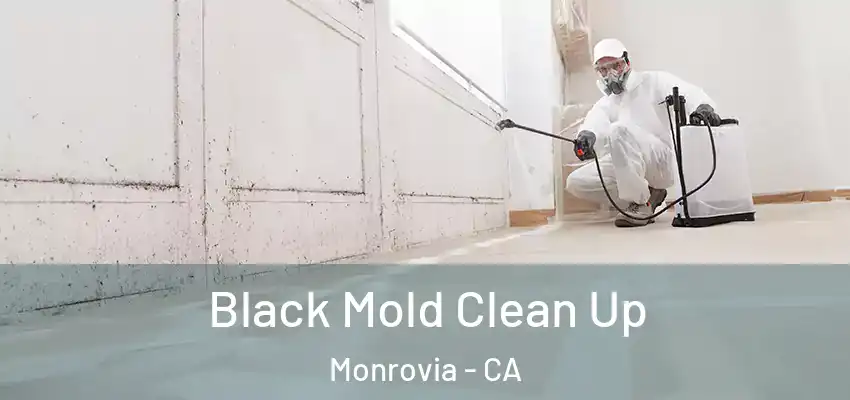 Black Mold Clean Up Monrovia - CA