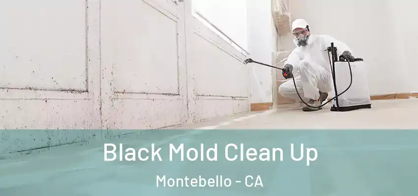 Black Mold Clean Up Montebello - CA