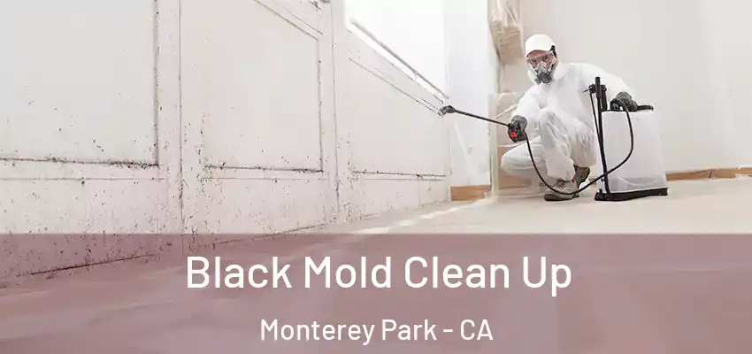  Black Mold Clean Up Monterey Park - CA