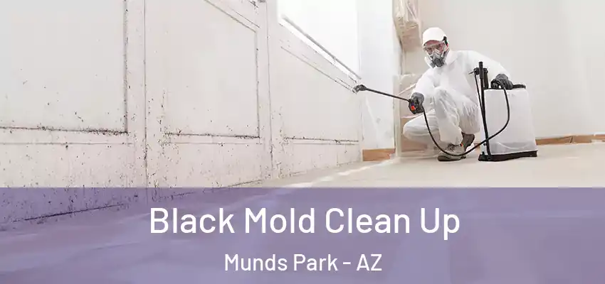  Black Mold Clean Up Munds Park - AZ