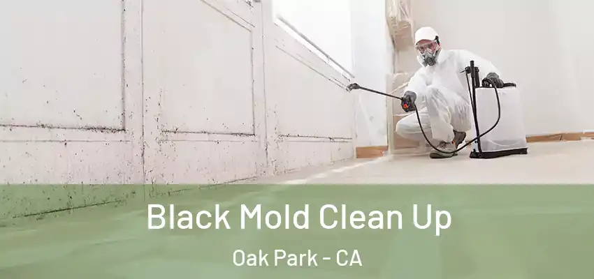  Black Mold Clean Up Oak Park - CA
