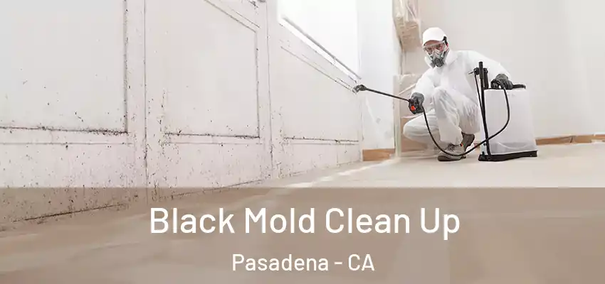 Black Mold Clean Up Pasadena - CA