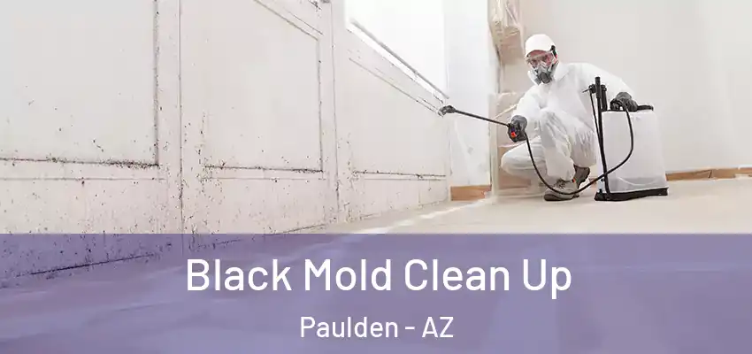  Black Mold Clean Up Paulden - AZ