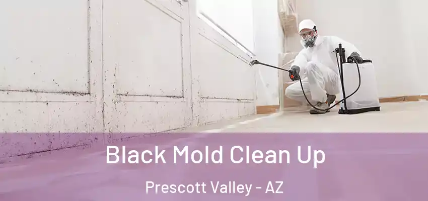  Black Mold Clean Up Prescott Valley - AZ