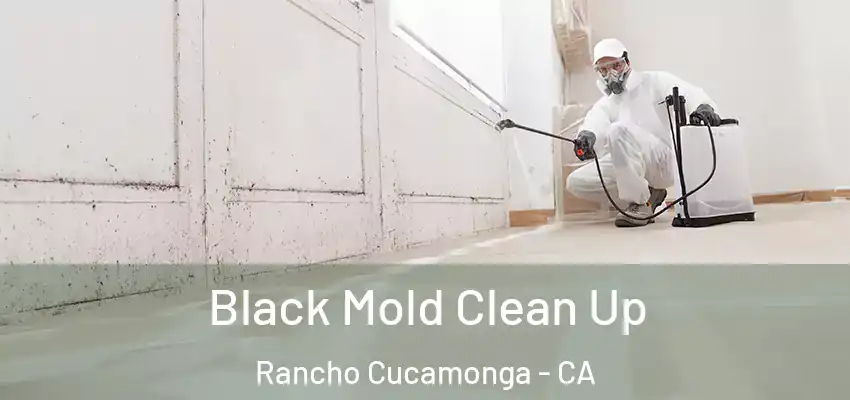 Black Mold Clean Up Rancho Cucamonga - CA