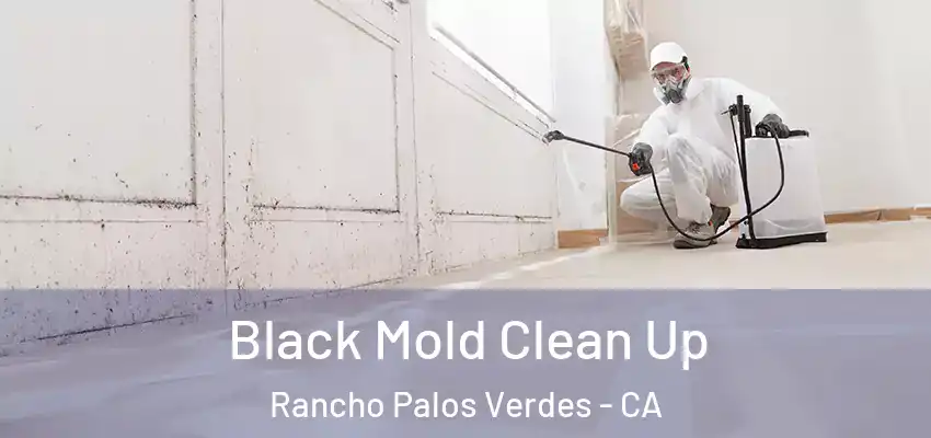  Black Mold Clean Up Rancho Palos Verdes - CA