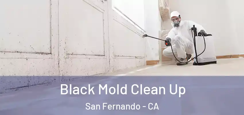  Black Mold Clean Up San Fernando - CA