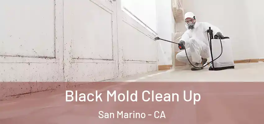  Black Mold Clean Up San Marino - CA