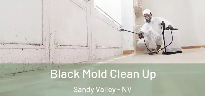  Black Mold Clean Up Sandy Valley - NV