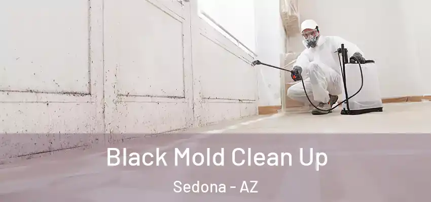  Black Mold Clean Up Sedona - AZ