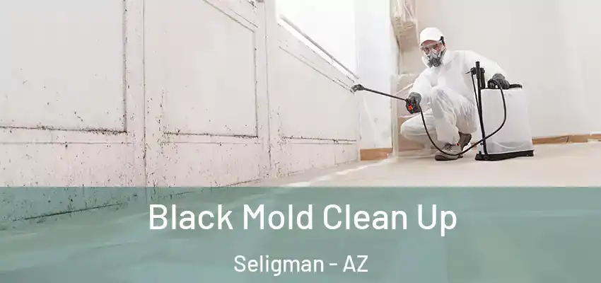  Black Mold Clean Up Seligman - AZ