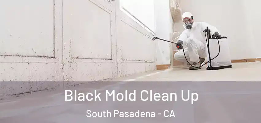 Black Mold Clean Up South Pasadena - CA