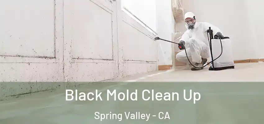  Black Mold Clean Up Spring Valley - CA