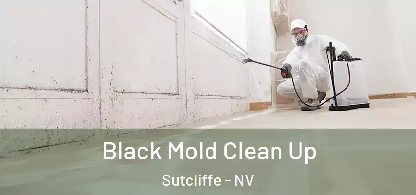  Black Mold Clean Up Sutcliffe - NV