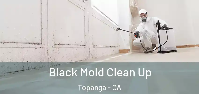 Black Mold Clean Up Topanga - CA