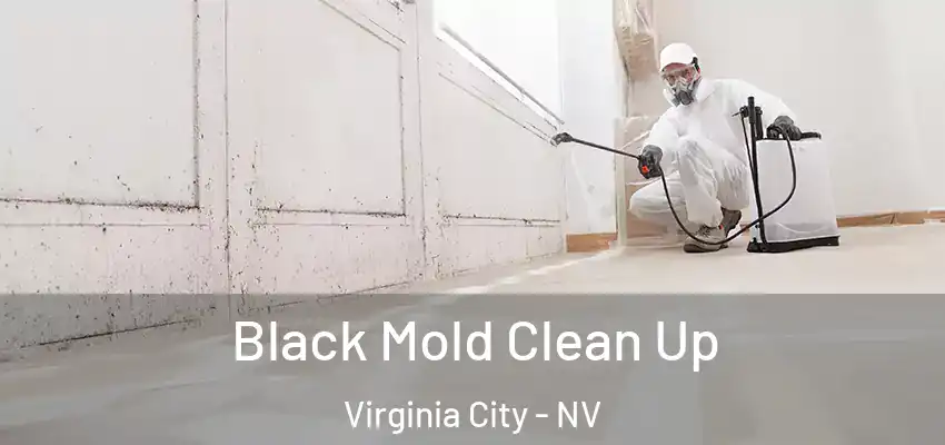  Black Mold Clean Up Virginia City - NV