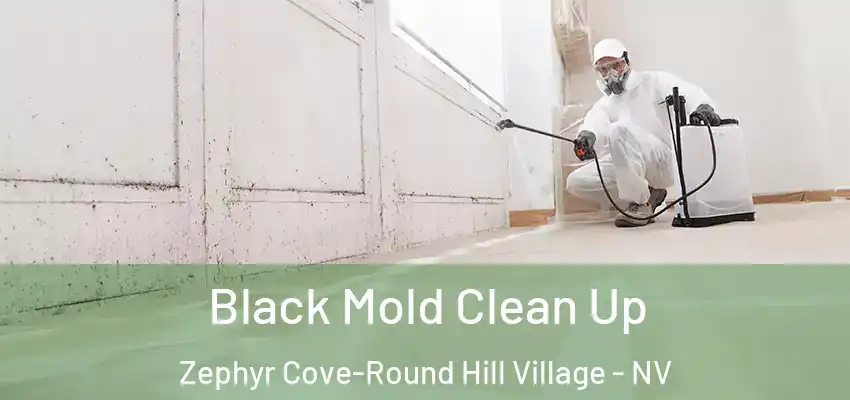  Black Mold Clean Up Zephyr Cove-Round Hill Village - NV