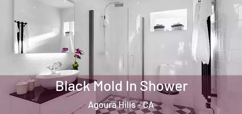  Black Mold In Shower Agoura Hills - CA