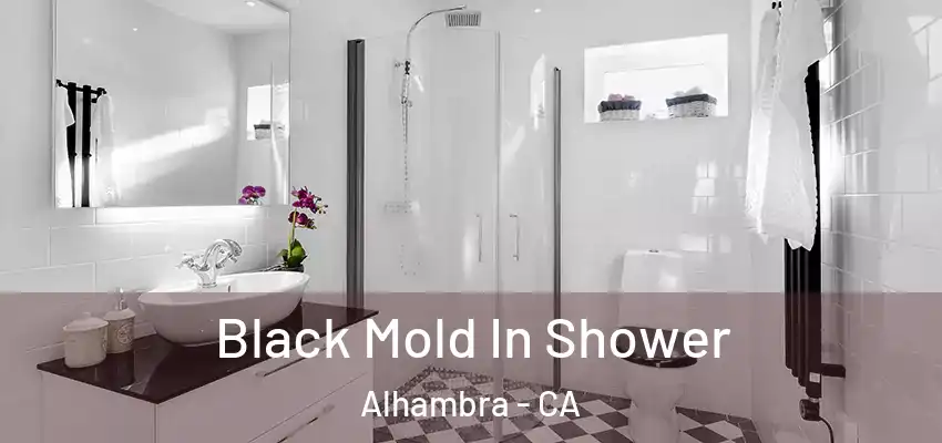  Black Mold In Shower Alhambra - CA