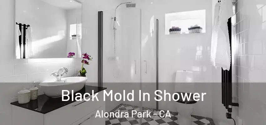  Black Mold In Shower Alondra Park - CA